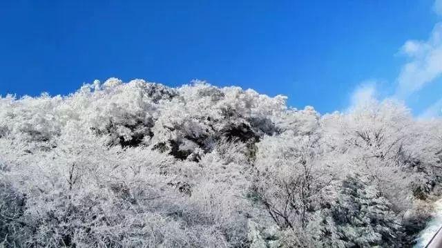大明风华:朱高炽用死化解了朱瞻基的戾气与怨愤,胡善祥藏男人?