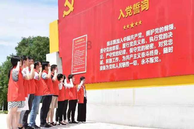 用心做服务 “实”力助营商